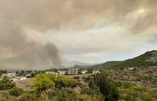Suriye’de orman yangını çıktı, dumanı Samandağ’ı...