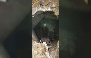 Susurluk’ta kuyuya düşen kuzuyu itfaiye kurtardı