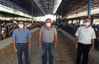 Süt üreticileri, fiyat artışı istiyor