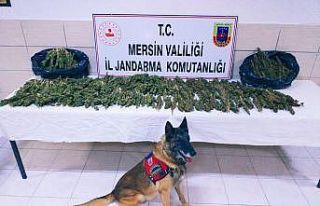 Taksiden 8 kilo 100 gram esrar çıktı