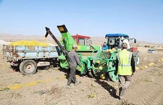 Talas’ın tarıma desteği artarak devam ediyor