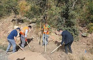 Talaslı Muhtarlar Ali Dağı’na ağaç dikti