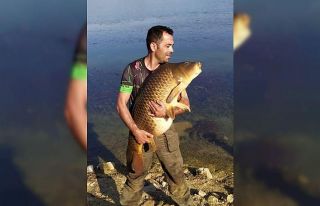 Tam 27,5 ağırlığındaki dev sazan balığı