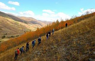 Tarihi köy odalarına ulaşmak için 18 kilometre...