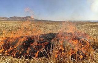 Tarladaki anızı yaktı, komşu tarladaki 150 boru...