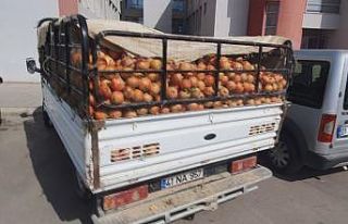 Tarladan karpuz ve nar çalıp satmış