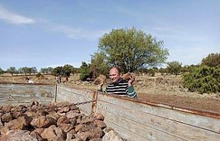 Tarlalarla sonbahar ekimi öncesi zorlu mücadele