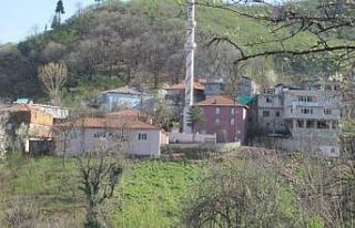 Tarlaya giden genç kız ağaca asılı halde bulundu