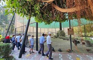 Tarsus Gençlik Kampı şehit yakınlarını ağırlıyor