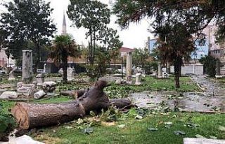 Tekirdağ’ın Marmaraereğilisi ilçesini hortum...