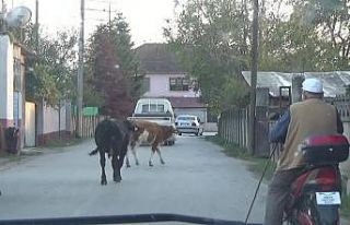 Teknolojiye ayak uydurdu