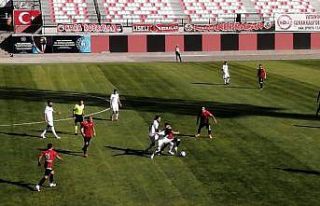 TFF 2. Lig: Vanspor FK: 1  - Sakaryaspor: 0