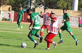 TFF 3. Lig: Muğlaspor:0 1954 Kelkit Belediye: 1