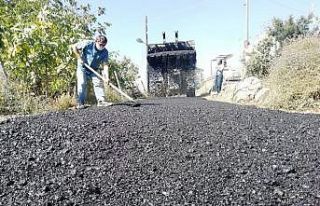 Toroslar’ın yaylalarında hummalı çalışma