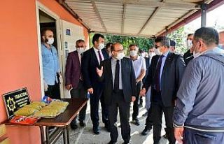 Trabzon’da 3 kilo 270 gram bonzai ele geçirildi