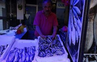 Trabzon’da hamsi tezgâhtaki yerini aldı