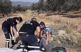 Traktör zeytin ağacına çarptı, kazada bir kişi...