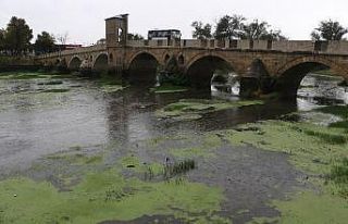 ‘Tunca Yaylası’nda korkutan görüntü