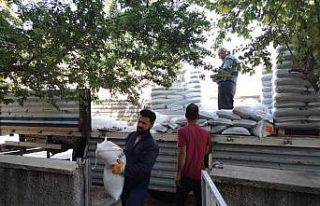 Tunceli’de çiftçilere yem bitkisi tohumu desteği
