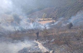 Tunceli’de iki noktada yangın çıktı