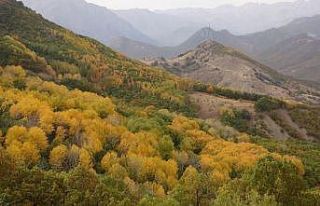 Tunceli’de sonbahar güzelliği renk cümbüşü...