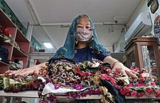 Türkiye’nin dört bir yanından topladı, Japonlar...