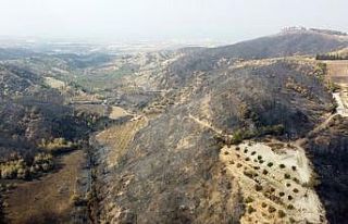 TÜSİKON Hatay için seferber oldu