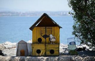 Tuzla’da kedilere tripleks kedi evleri