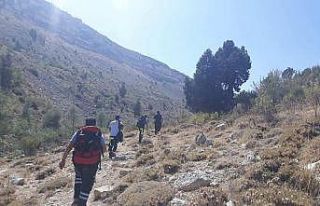 Uçurumda iki gün mahsur kalan keçiyi itfaiye kurtardı
