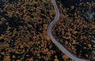 Uludağ’da hazan mevsimi