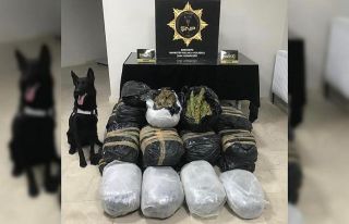Uyuşturucu operasyonunda 135 kilogram esrar ele geçirildi
