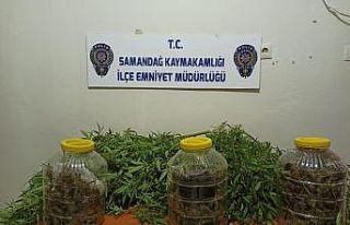Uyuşturucuyu turşu bidonlarında saklamış
