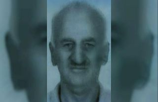 Üzerine ağaç düşen şahıs hayatını kaybetti