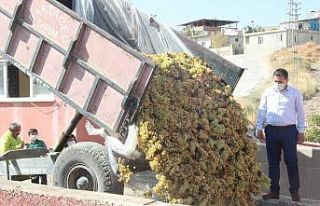 Üzümün taneden pekmeze uzanan yolculuğu