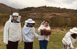 Vali Aktaş, kestane balı hasat sağımına katıldı