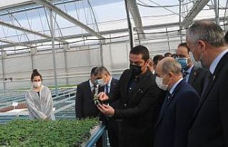 Vali Dağlı: ”Bafra tam bir tarım ilçesi"