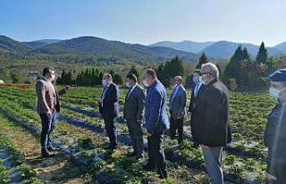 Vali tutulmaz Devrek’te incelemelerde bulundu