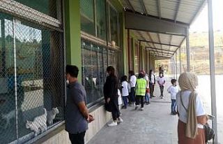 Van Büyükşehir Belediyesi Hayvan Barınağı tam...