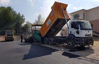 Van Büyükşehir eğitim kurumlarına 2 bin 200 ton...