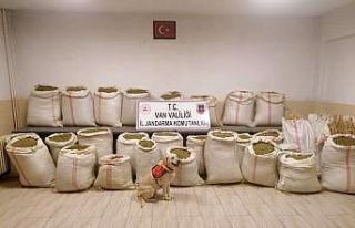 Van’da çuval çuval esrar ele geçirildi