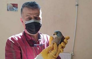 Vatandaşlar tarafından yaralı olarak bulunan Doğan...