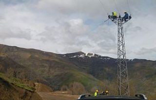 VEDAŞ’tan Bitlis’e 100 milyon TL’lik yatırım