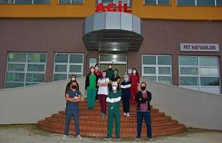 Veteriner hekimler yüz yüze eğitime devam ediyor