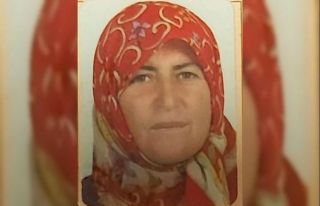Virajı alamayan sürücü kamyonetiyle uçuruma yuvarlandı:...