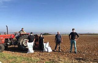 Vize’de yerli yulaf demonstrasyonu kuruluyor