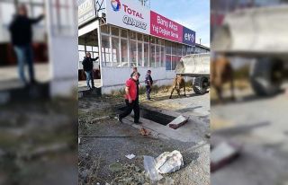 Yağ değişim Kuyusuna düşen ineği itfaiye ekipleri...