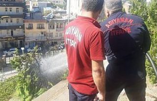 Yanan ağaç itfaiye ekiplerince söndürüldü