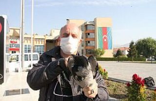 Yaralı karganın imdadına belediye çalışanı...