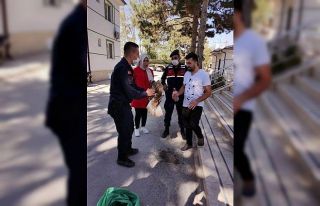 Yaralı şahine jandarma şefkati