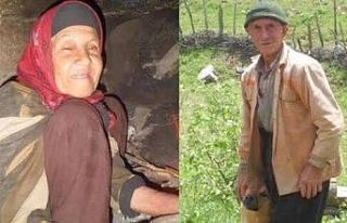 Yaşlı çifti öldüren sanığa ağırlaştırılmış...